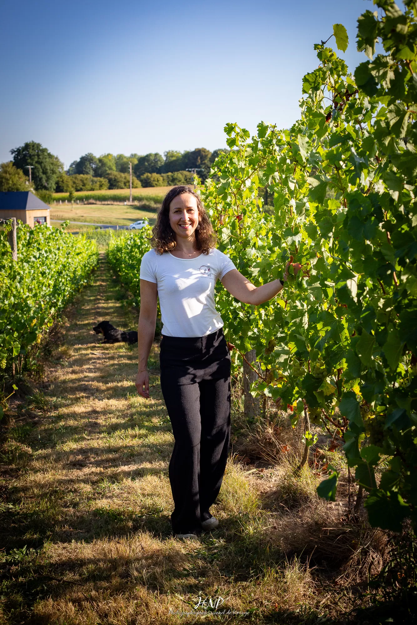 Une+exp%C3%A9rience+in%C3%A9dite+dans+un+vignoble+normand Une+exp%C3%A9rience+in%C3%A9dite+dans+un+vignoble+normand