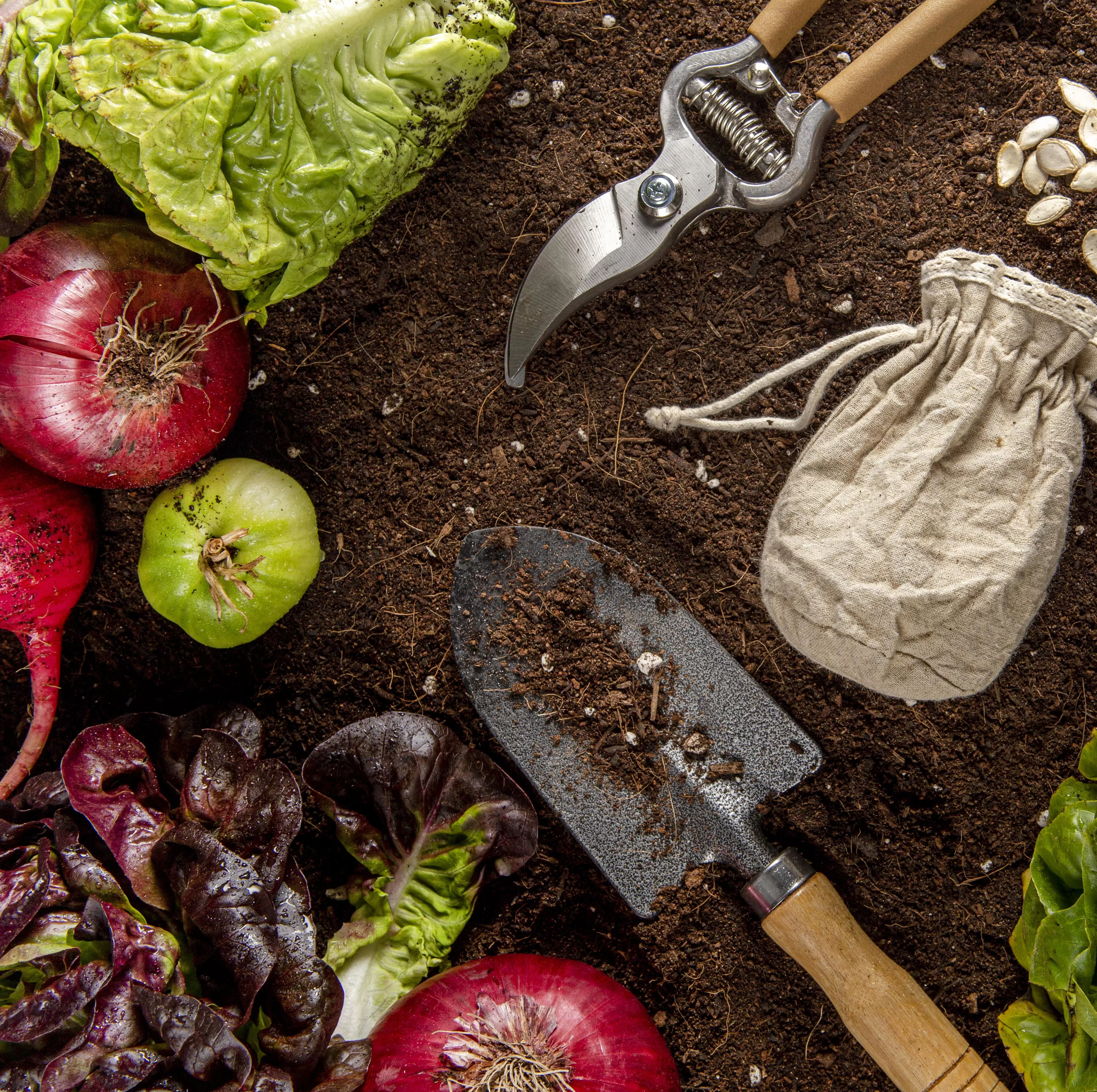 La+permaculture+%C2%A0%3A+et+si+la+nature+avait+tout+compris+avant+nous+%3F La+permaculture+%C2%A0%3A+et+si+la+nature+avait+tout+compris+avant+nous+%3F