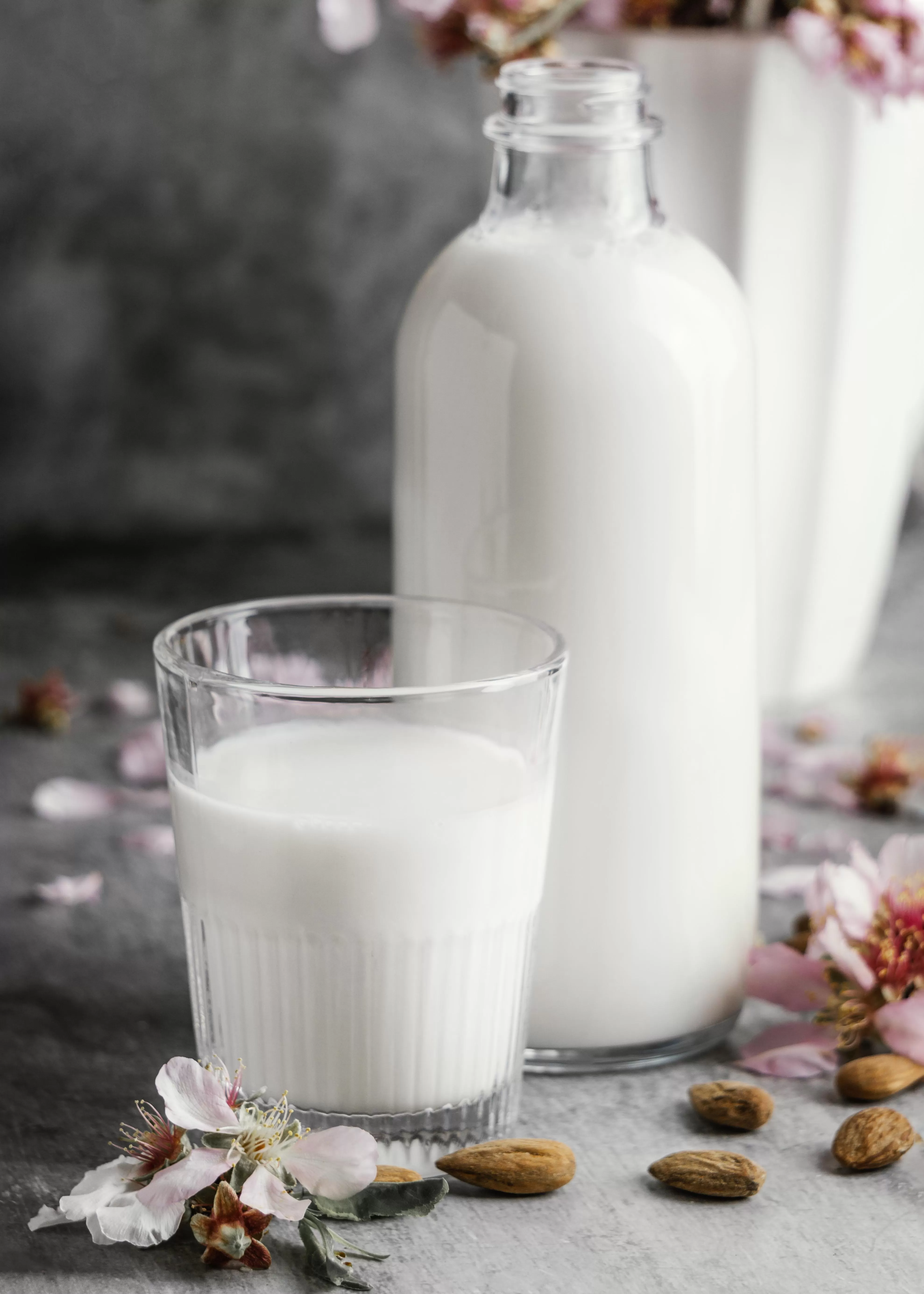 Du+lait+de+vache+pour+venir+%C3%A0+bout+des+souches Du+lait+de+vache+pour+venir+%C3%A0+bout+des+souches