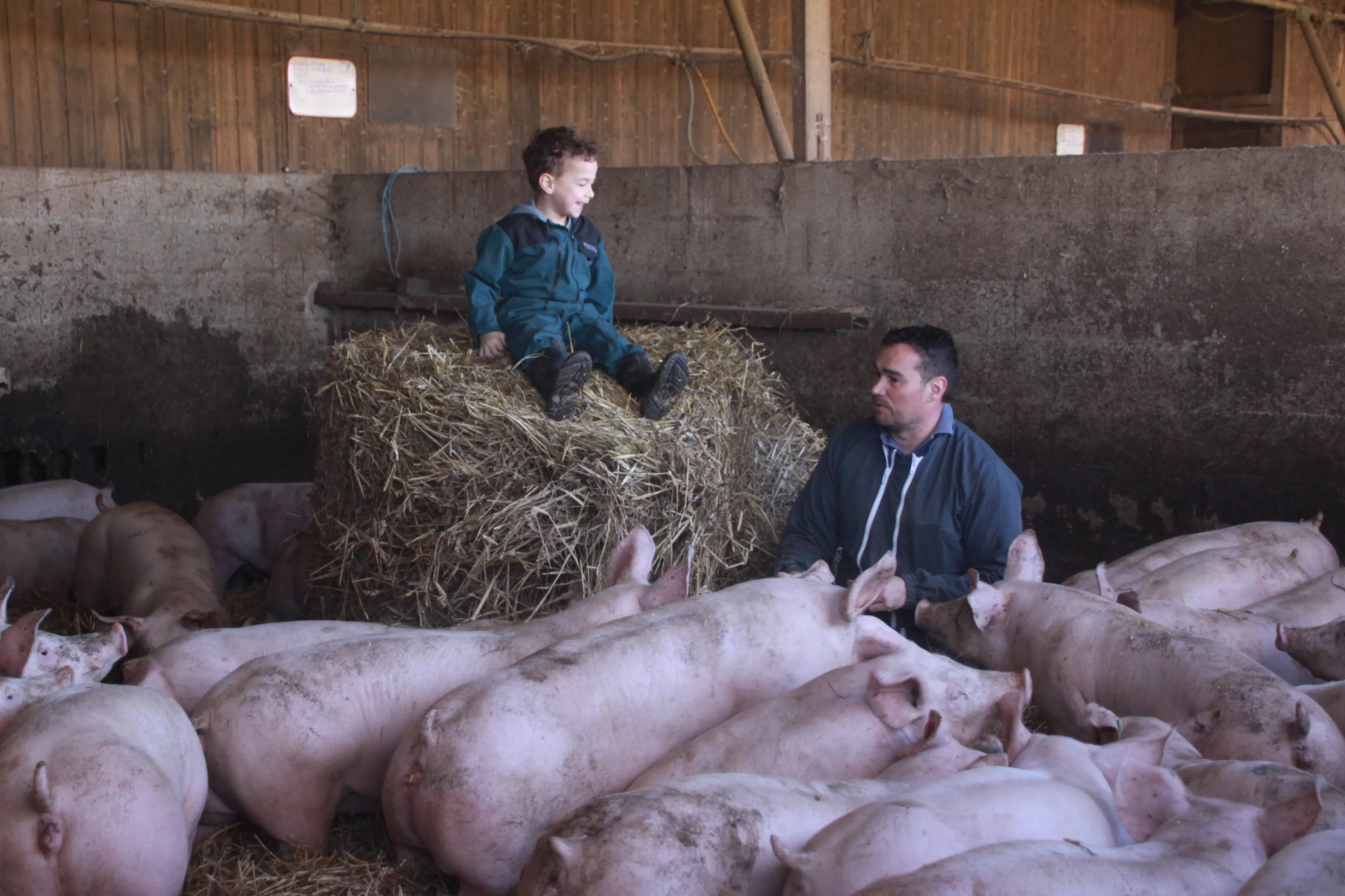 Quand+la+ferme+reste+artisanale Quand+la+ferme+reste+artisanale