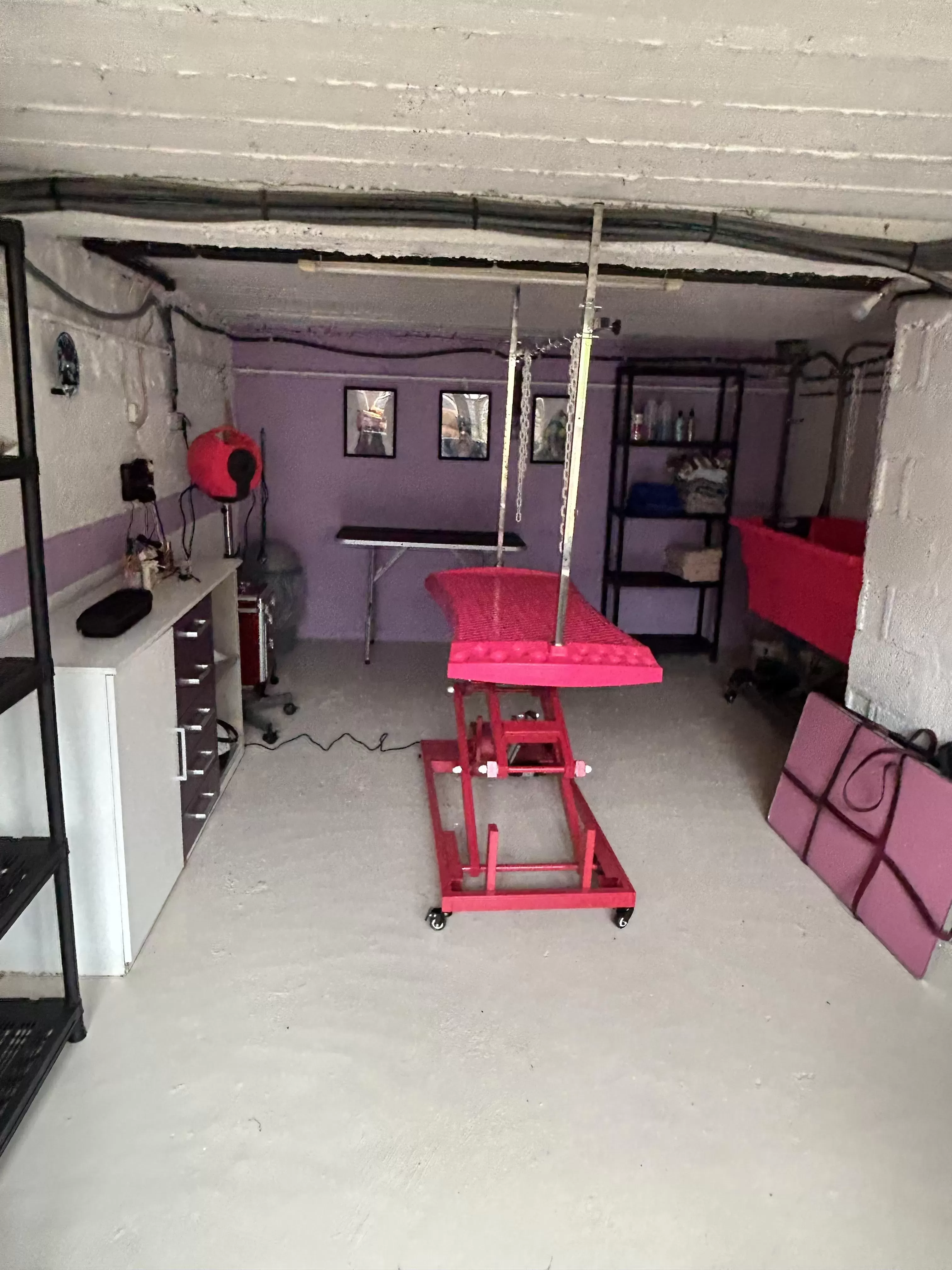 Toilettage+%C3%A0+domicile+ou+en+salon+%3A+le+bien-%C3%AAtre+sur+mesure+pour+vos+animaux Toilettage+%C3%A0+domicile+ou+en+salon+%3A+le+bien-%C3%AAtre+sur+mesure+pour+vos+animaux