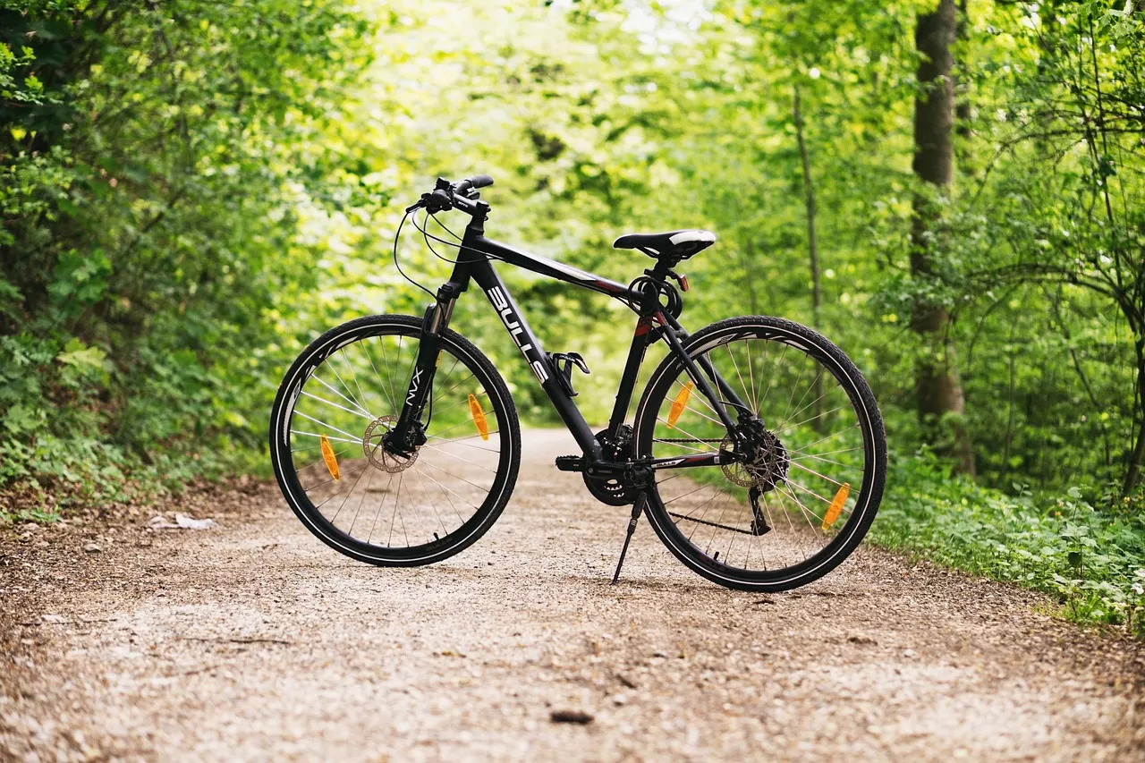 Remettez en selle votre vélo (et vos idées reçues) ! Remettez en selle votre vélo (et vos idées reçues) !